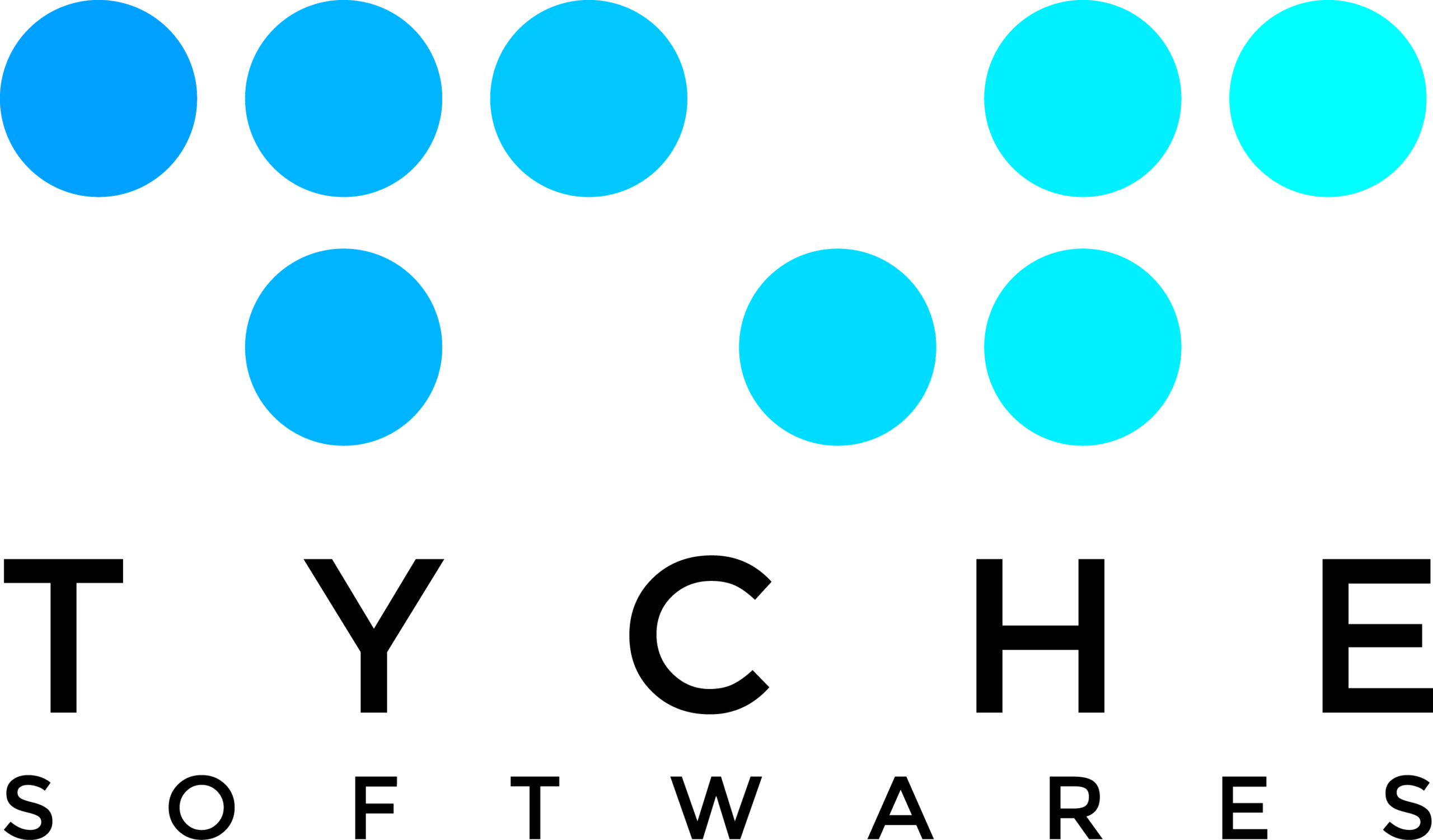 Product Input Fields for Woo